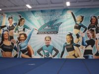 CheerBackdrop