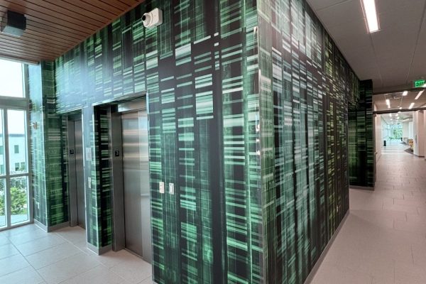 Palm Beach State College_WallMural_Interior_Education (15)