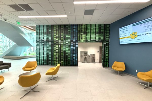 Palm Beach State College_WallMural_Interior_Education (3)