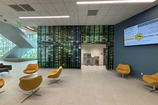 Palm Beach State College_WallMural_Interior_Education (3)