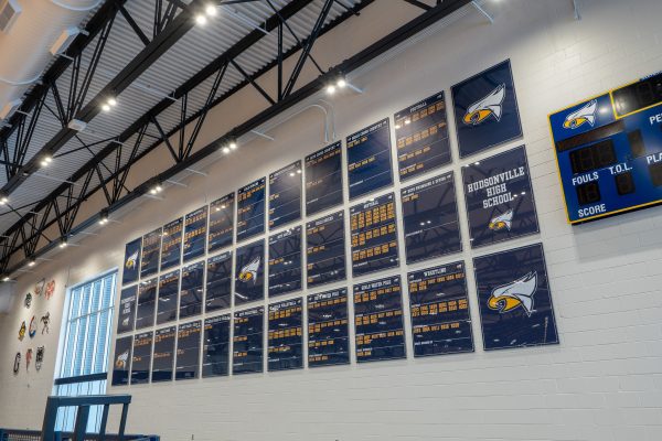 HudsonvilleHighSchool_WallpaperMurals_Dimensional_Sports (11)