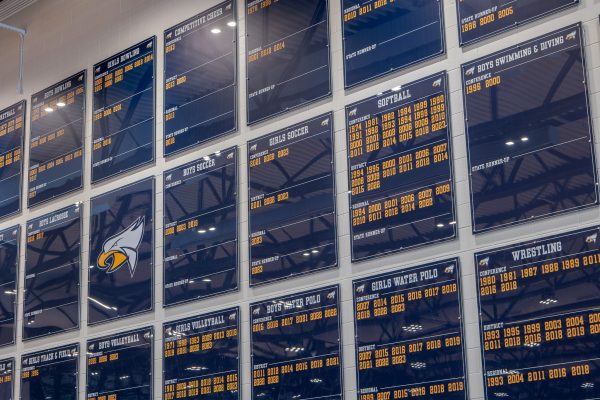 HudsonvilleHighSchool_WallpaperMurals_Sports (11)