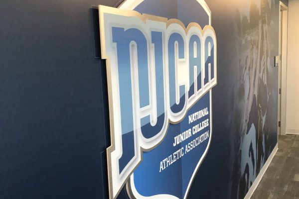 NJCAA_Decor_Wallpaper_Murals_Interiors_Sports (4)