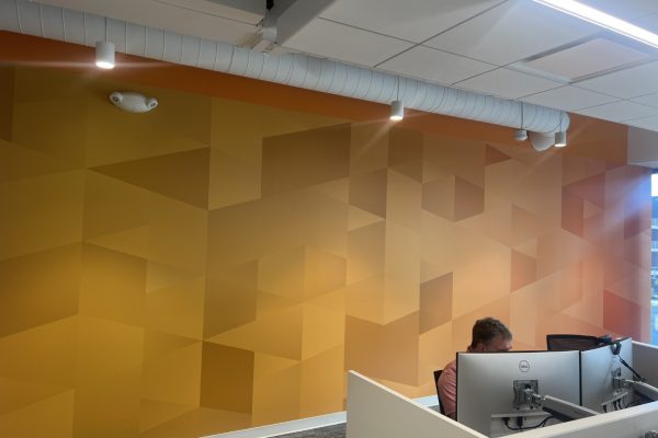 Signart Studio_Dreamscape_WallpaperMural_Decor_Interiors_InternalOnly (2)