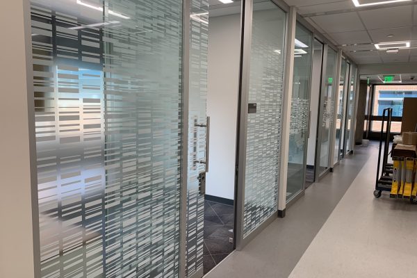 WisconsinMedicalCollege_WindowFilm_4